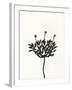 Ink Botanical Sketch III-J. Holland-Framed Art Print