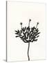 Ink Botanical Sketch III-J. Holland-Stretched Canvas
