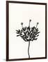 Ink Botanical Sketch III-J. Holland-Framed Art Print