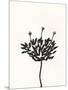 Ink Botanical Sketch III-J. Holland-Mounted Art Print