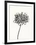 Ink Botanical Sketch V-J. Holland-Framed Art Print