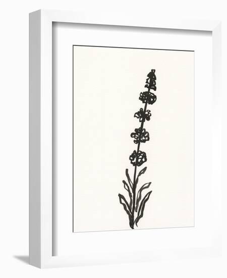 Ink Botanical Sketch VII-J. Holland-Framed Art Print