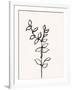 Ink Botanical Sketch X-J. Holland-Framed Art Print