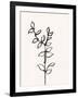 Ink Botanical Sketch X-J. Holland-Framed Art Print