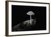 Ink Cap-Paul Starosta-Framed Photographic Print