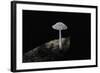 Ink Cap-Paul Starosta-Framed Photographic Print