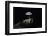 Ink Cap-Paul Starosta-Framed Photographic Print