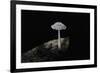 Ink Cap-Paul Starosta-Framed Photographic Print