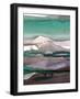 Ink Drips B-Tracy Hiner-Framed Premium Giclee Print