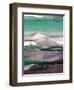 Ink Drips B-Tracy Hiner-Framed Premium Giclee Print