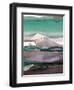 Ink Drips B-Tracy Hiner-Framed Premium Giclee Print