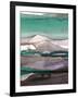 Ink Drips B-Tracy Hiner-Framed Giclee Print