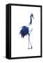 Ink Drop Crane I-Grace Popp-Framed Stretched Canvas