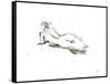 Ink Figure Study IV-Ethan Harper-Framed Stretched Canvas