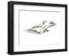 Ink Figure Study V-Ethan Harper-Framed Art Print