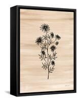 Ink Flowers II-Yvette St. Amant-Framed Stretched Canvas