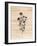 Ink Flowers II-Yvette St. Amant-Framed Art Print