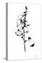 Ink Foxglove-Shirley Novak-Stretched Canvas