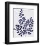 Ink Leaves-The Vintage Collection-Framed Giclee Print