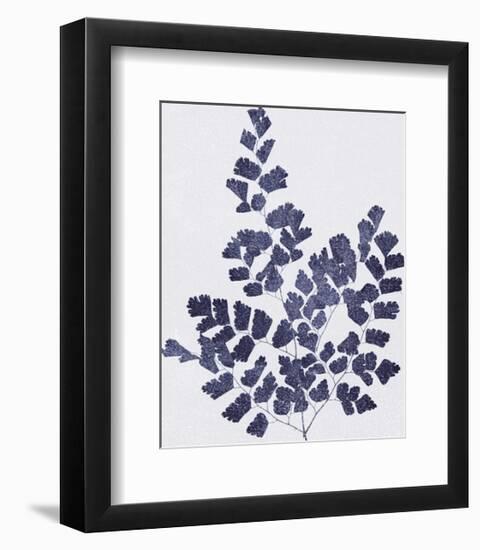 Ink Leaves-The Vintage Collection-Framed Giclee Print