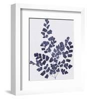 Ink Leaves-The Vintage Collection-Framed Giclee Print