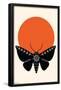 Ink Moth-Trends International-Framed Poster