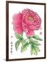 Ink Painting Of Chinese Peony Translation: The Blossom Of Prosperity-yienkeat-Framed Art Print