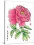 Ink Painting Of Chinese Peony Translation: The Blossom Of Prosperity-yienkeat-Stretched Canvas