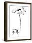 Ink Poppy-Nan Rae-Framed Art Print