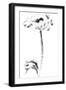 Ink Poppy-Nan Rae-Framed Art Print