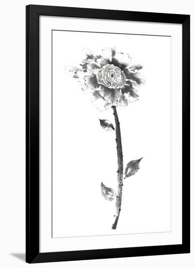 Ink Rose-Nan Rae-Framed Art Print
