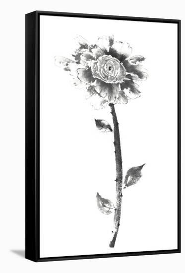 Ink Rose-Nan Rae-Framed Stretched Canvas