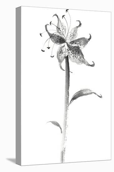 Ink Tiger Lily-Nan Rae-Stretched Canvas