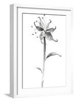 Ink Tiger Lily-Nan Rae-Framed Art Print