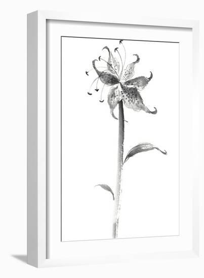 Ink Tiger Lily-Nan Rae-Framed Art Print