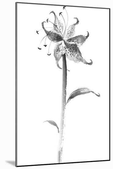 Ink Tiger Lily-Nan Rae-Mounted Art Print