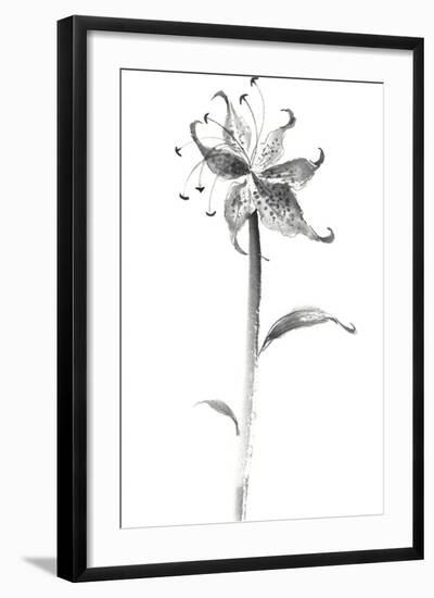 Ink Tiger Lily-Nan Rae-Framed Art Print