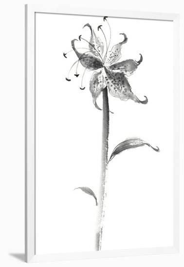 Ink Tiger Lily-Nan Rae-Framed Art Print