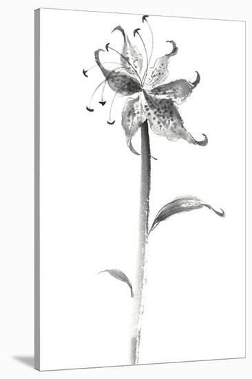 Ink Tiger Lily-Nan Rae-Stretched Canvas