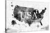 Ink United States Map-anna42f-Stretched Canvas