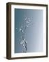 Ink Winter Sweet-baoyan-Framed Art Print