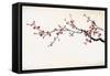 Ink Winter Sweet-baoyan-Framed Stretched Canvas