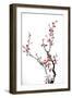 Ink Winter Sweet-baoyan-Framed Art Print