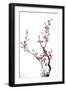 Ink Winter Sweet-baoyan-Framed Art Print