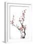 Ink Winter Sweet-baoyan-Framed Art Print