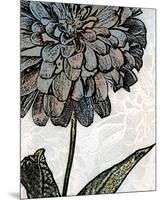 Ink Zinnia I-Christine Zalewski-Mounted Premium Giclee Print