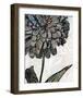 Ink Zinnia I-Christine Zalewski-Framed Art Print