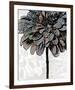 Ink Zinnia II-Christine Zalewski-Framed Art Print