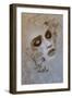 Ink-Bente Schlick-Framed Giclee Print