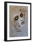 Ink-Bente Schlick-Framed Giclee Print